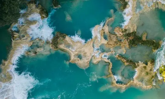 Brown and White Coral Reef