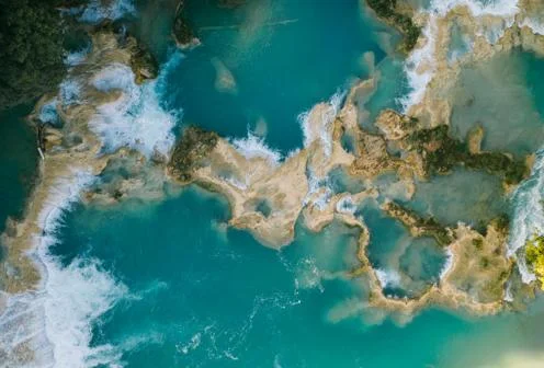 Brown and White Coral Reef