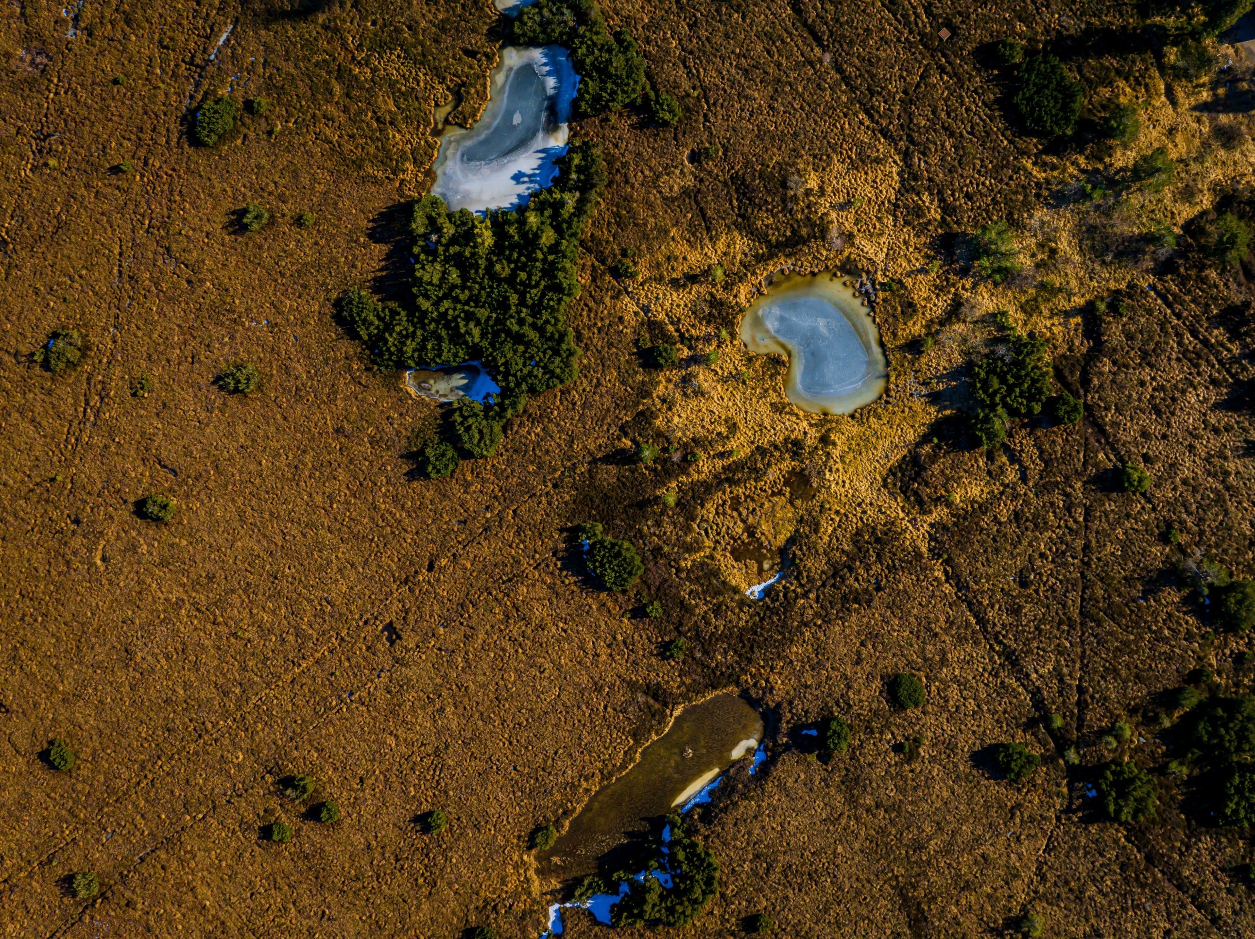 A stunning aerial view showcasing rural plains with lush ponds and scattered vegetation.