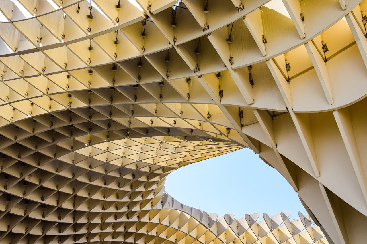 Geometric wooden lattice structure forming a curved canopy 