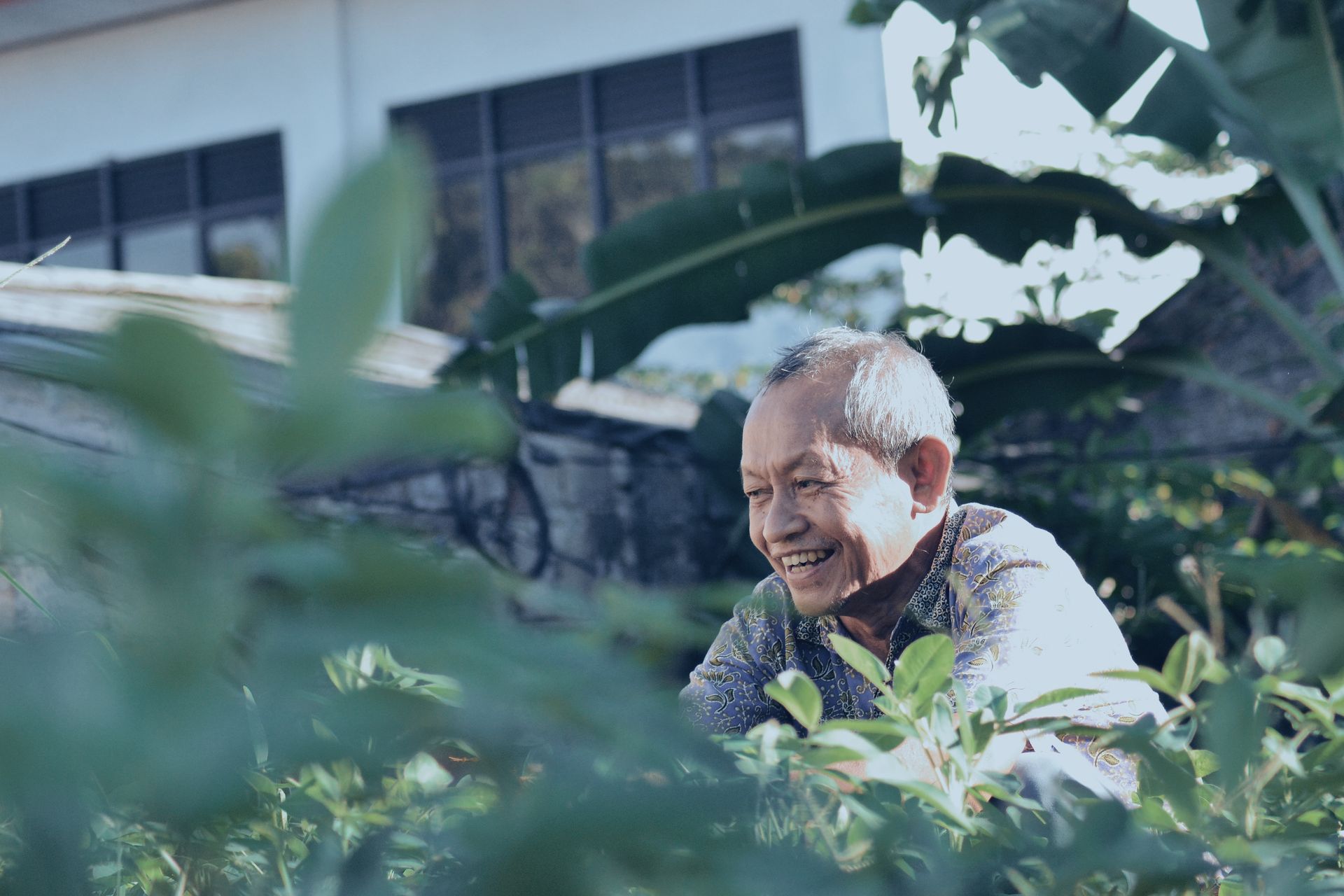 Elderly man gardening