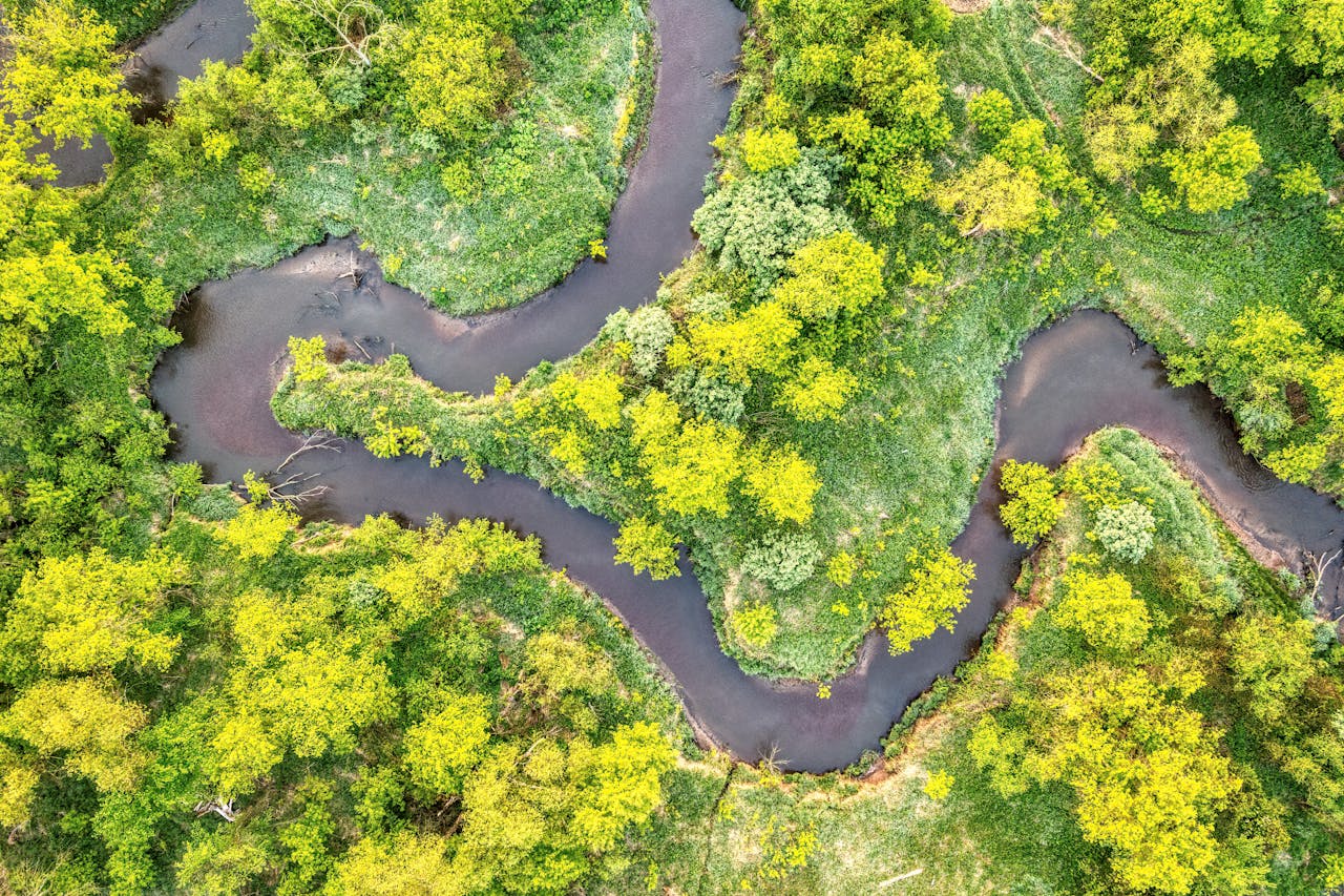 Aerial view of a winding river flowing through lush green landscape.