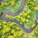 Aerial view of a winding river flowing through lush green landscape.