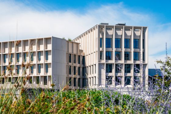 Exterior view of the Marshall Building at LSE, with modern architecture and landscaped planting in the foreground.