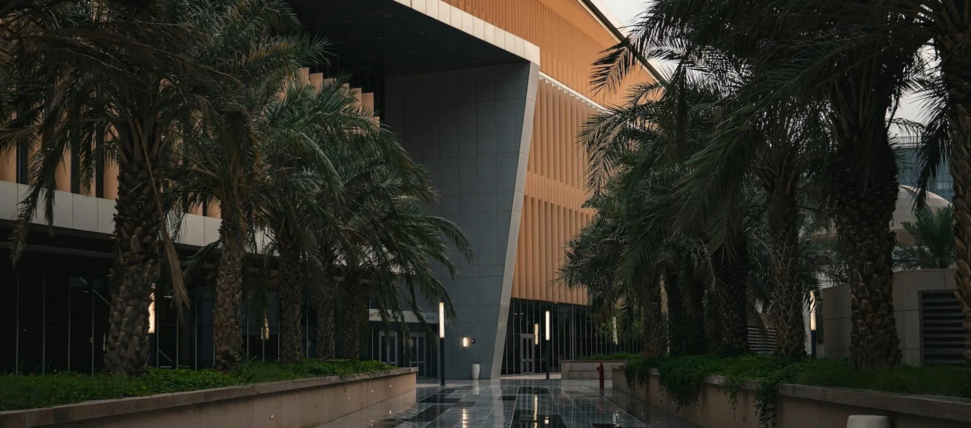 Pathway with palm trees leading to a modern building