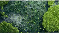 On Wednesday 28 May 2025, at 15:24 local time, a substantial part of the Birch glacier in the Lötschen valley of the Swiss Alps detached and triggered a catastrophic rock-ice avalanche that obliterated most of the village of Blatten and nearby settlements (Büntgen et al., 2025a). An estimated 20 million tonnes of ice and rock travelled at a speed of up to 200 km per hour over 1200 m vertical distance to the valley floor and then nearly 200 m up the opposite slope of the valley. Preserved in Switzerland’s collective memory as the largest and most devastating ever monitored rock-ice avalanches, the Blatten disaster reveals the urgent need to improve research-based policy guidance for detecting, preventing, and managing multi-hazard cascades in steep terrain, including avalanches, debris flows, and glacial lake outburst floods. While continuous monitoring and effective risk management prevented mass casualties, most parts of the world lack the means and expertise to establish such early warning systems. This policy brief addresses the increasingly critical challenges that climate brings as it shapes our data-driven and globalised world, recommending pathways forward for policymakers to include harnessing both data and global cooperation.