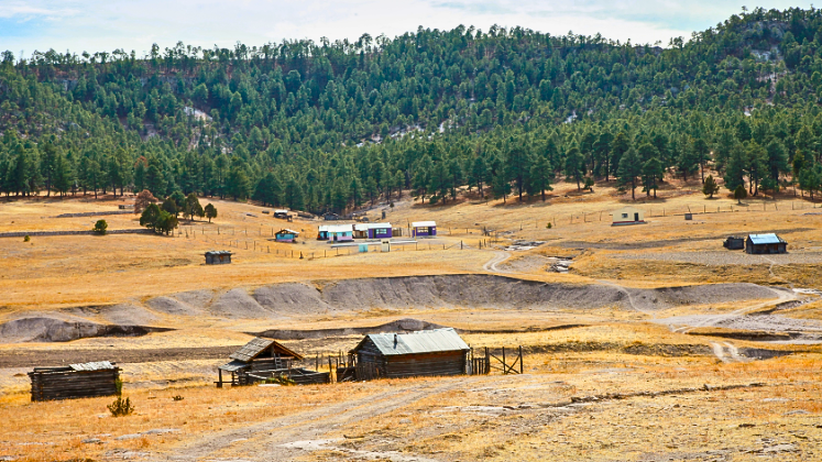 Political Ecologies of Loss thumbnail