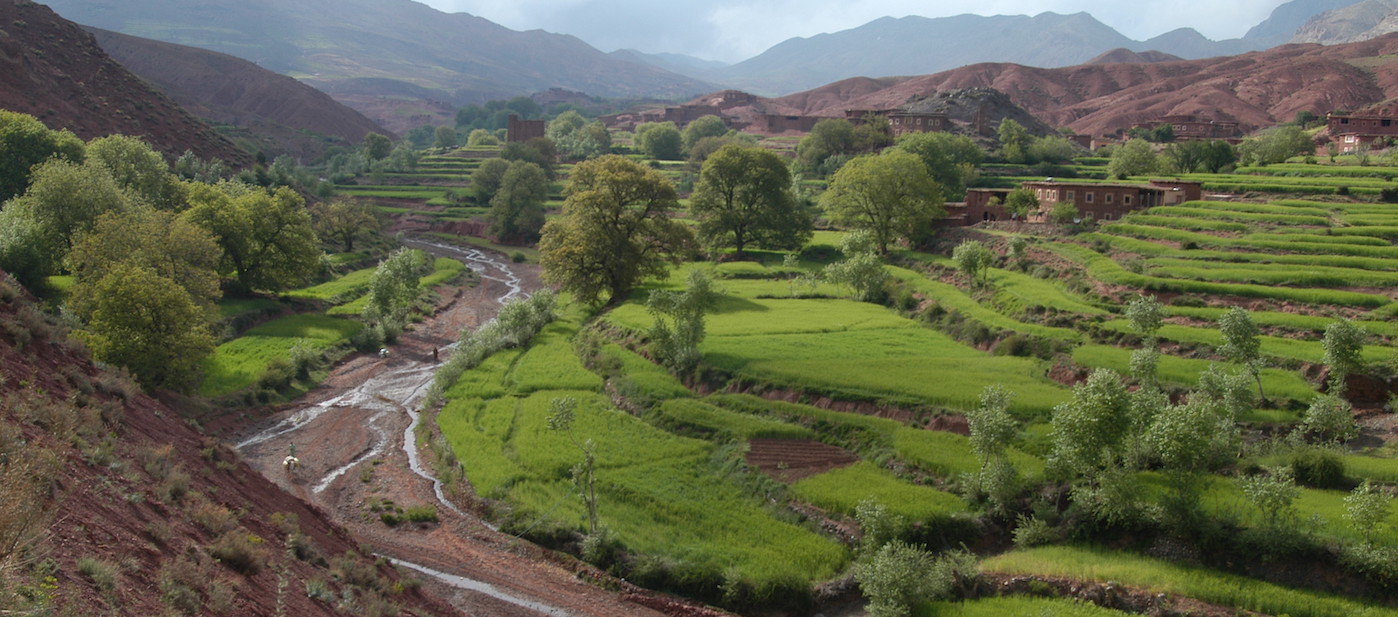 Green tiered agriculture fields and irrigation channels cutting through a valley in Morocco.