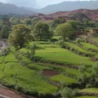 Green tiered agriculture fields and irrigation channels cutting through a valley in Morocco.