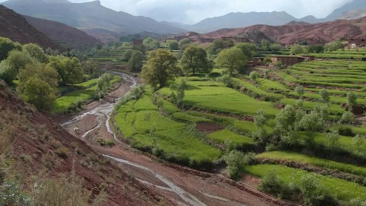 Political Economy of Water in the MENA