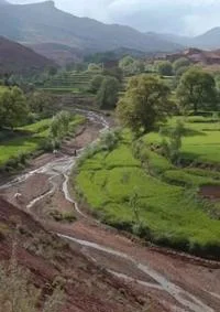 Political Economy of Water in the MENA