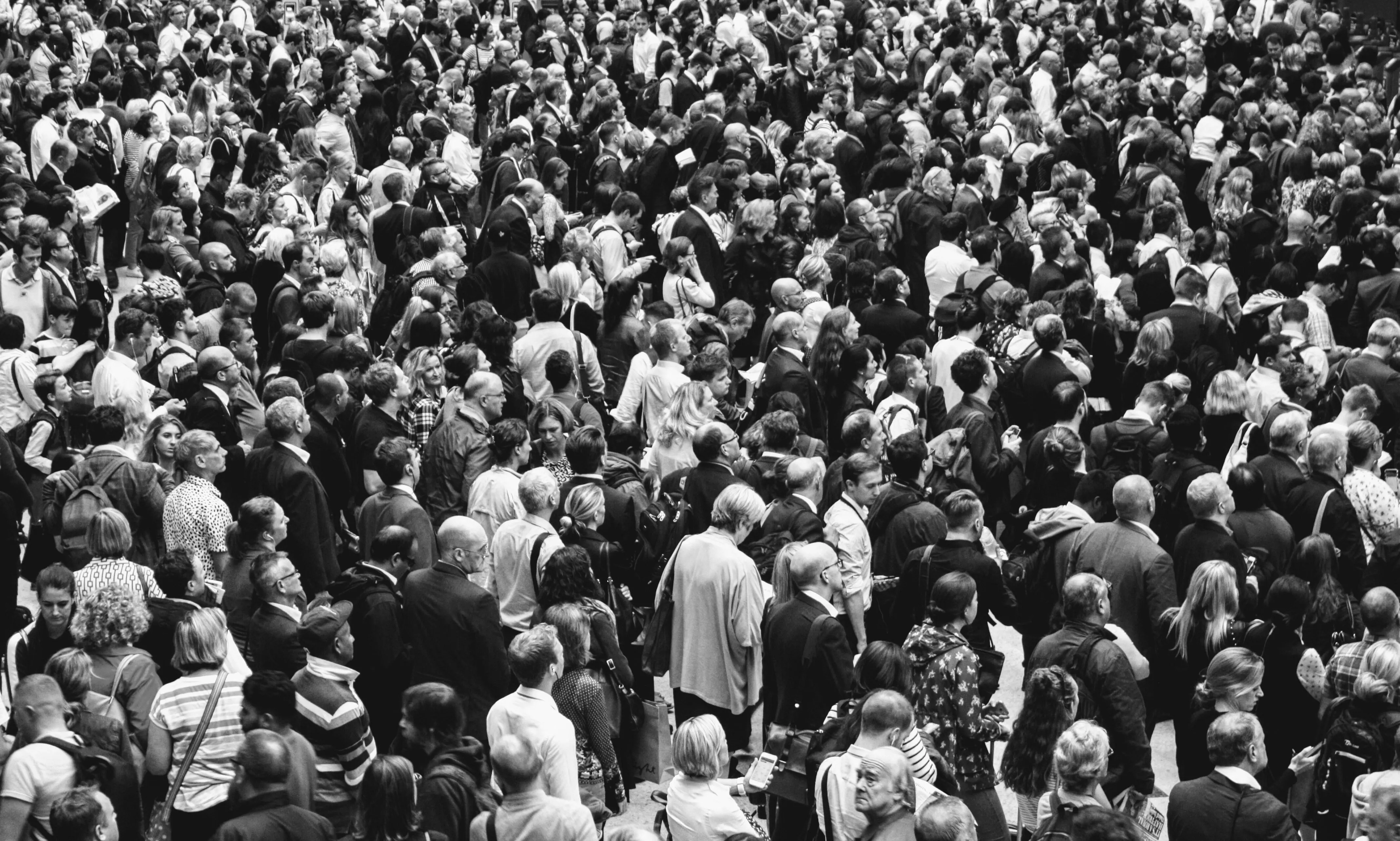 Picture of a large crowd