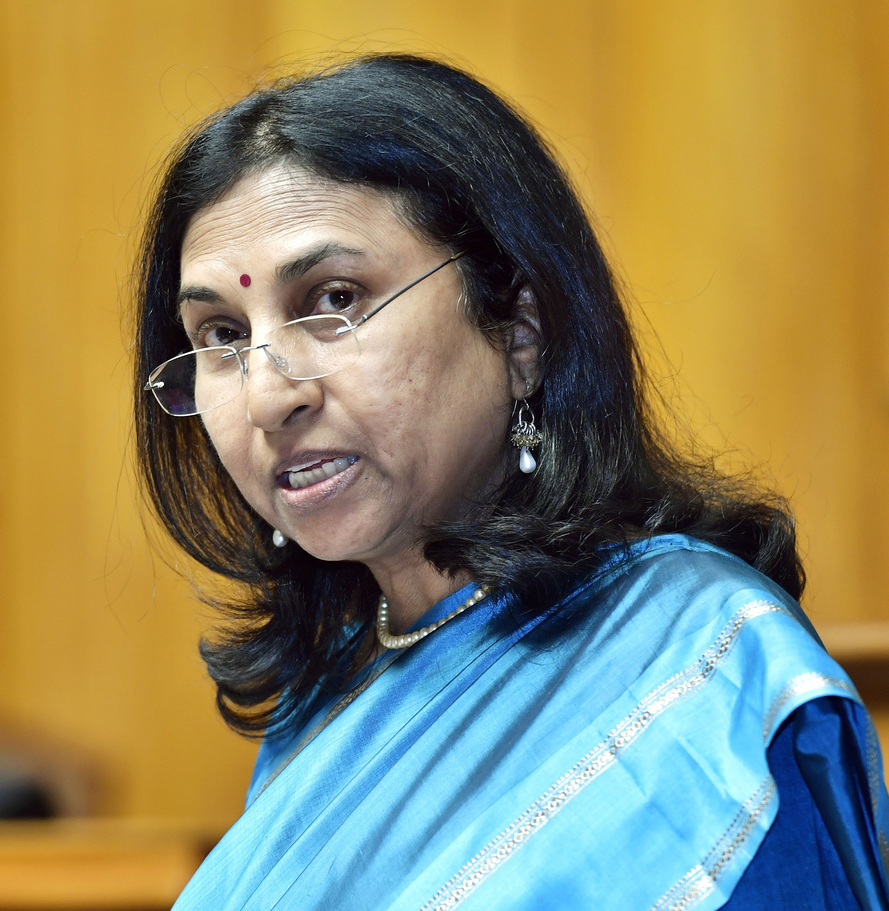 Professor Bina Agarwal 