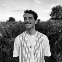 Daniele Pollicino profile photo