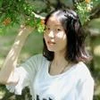 Feiyang Wang