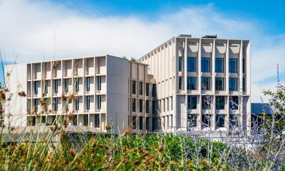 Exterior view of the Marshall Building at LSE, with modern architecture and landscaped planting in the foreground.