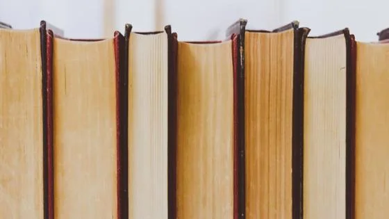 books on shelf