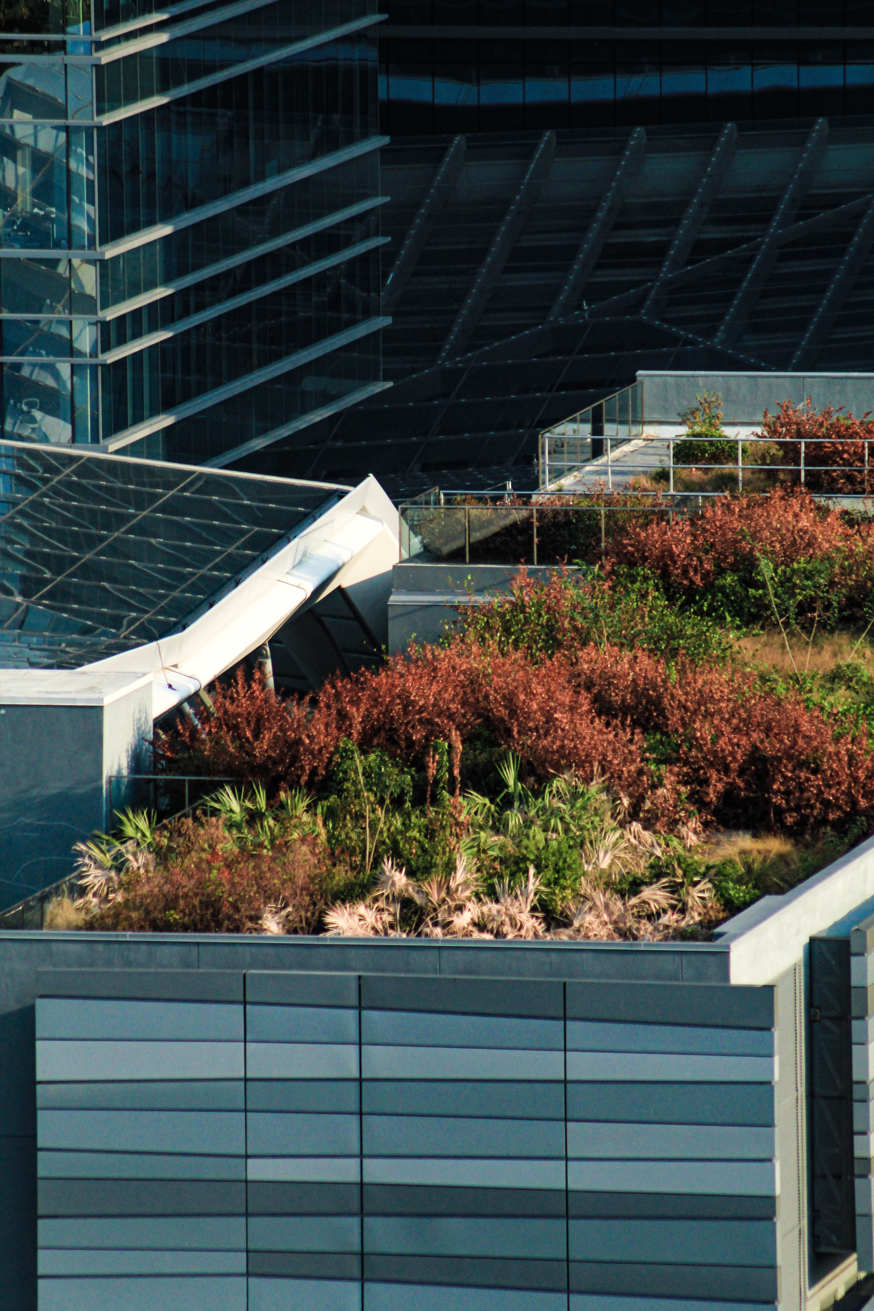 photo of a tall city building with greenery on the roof