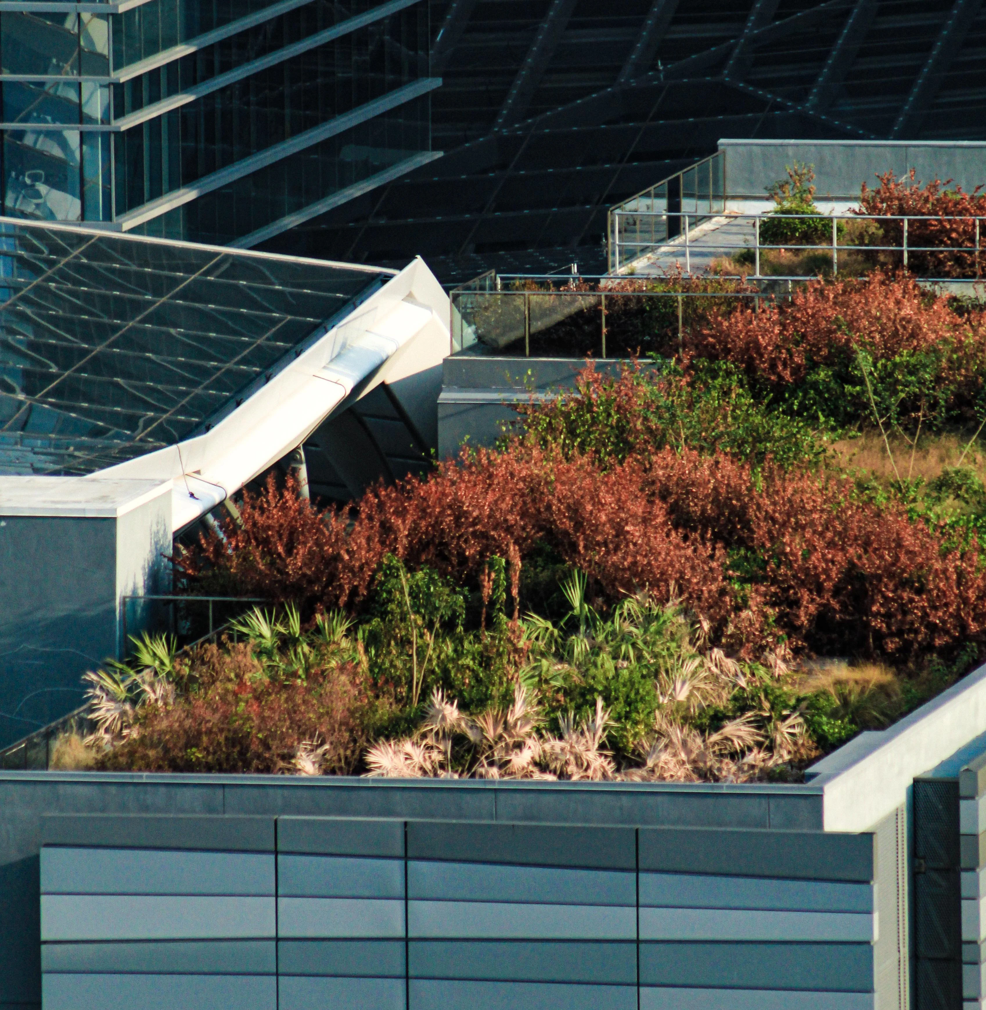 photo of a tall city building with greenery on the roof