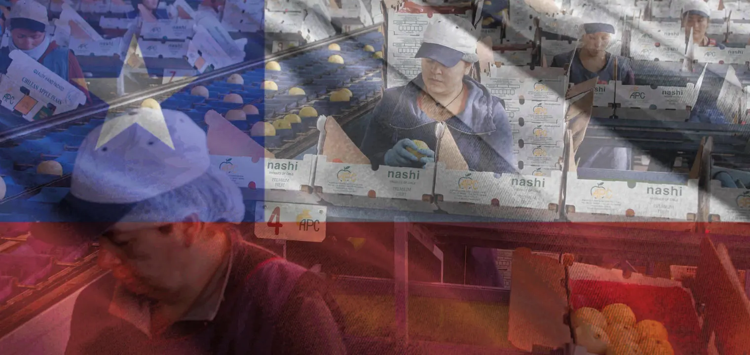 People working in a fruit factory with an image of a flag overlaid.