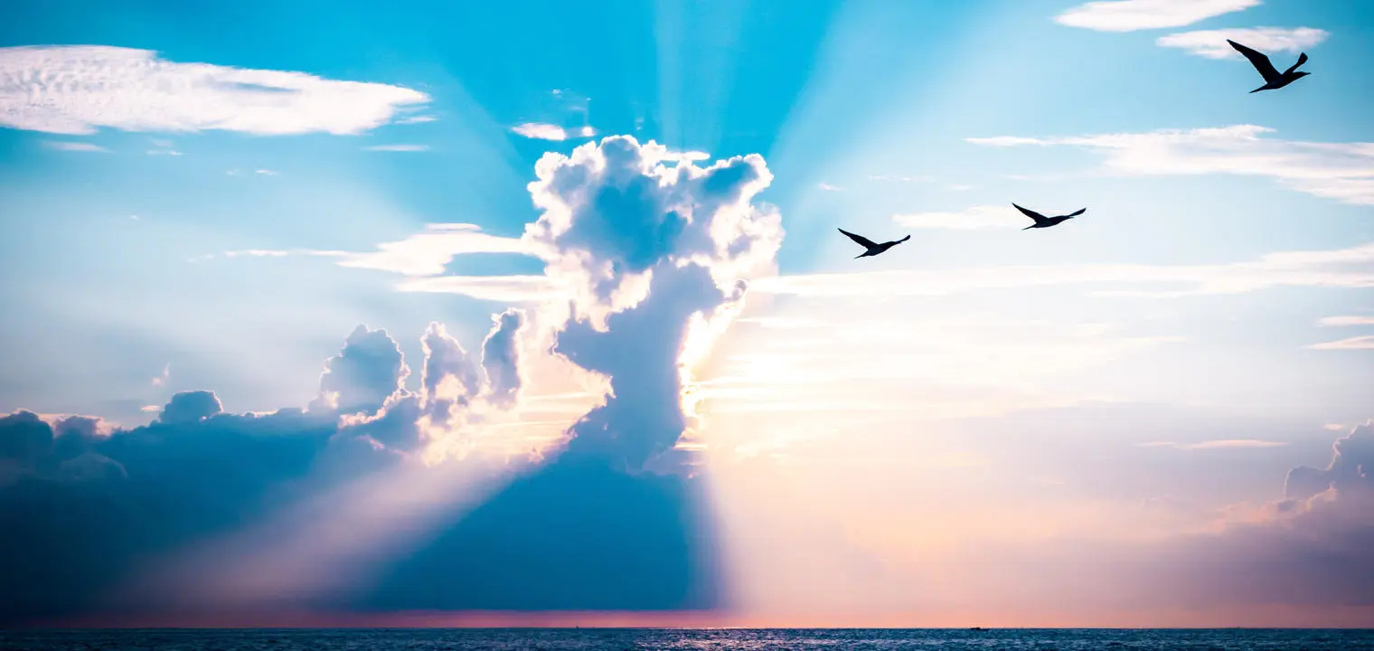 The horizon with birds, a sunset, sea and cloud formation.