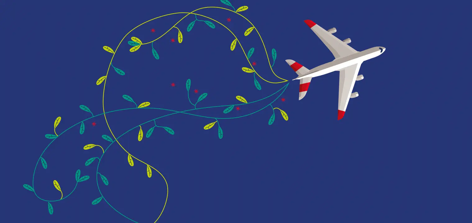An aeroplane with leaves and branches coming from it.