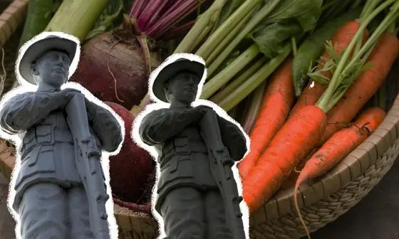 soldiers in front of a basket of vegetables