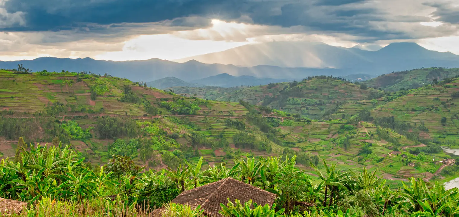 Rwandan countryside