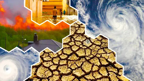 impacts of climate change