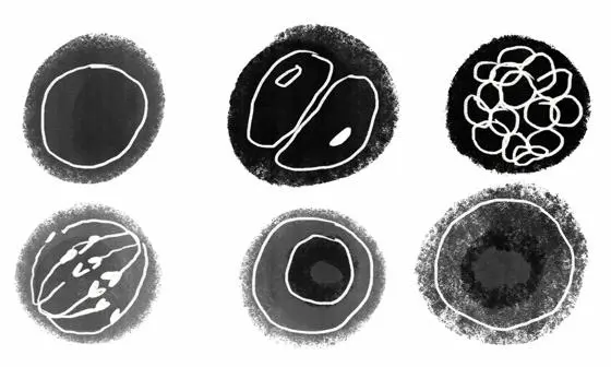 Illustration of eggs by Rosalie Schweiker