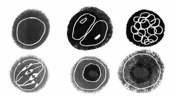 Illustration of eggs by Rosalie Schweiker