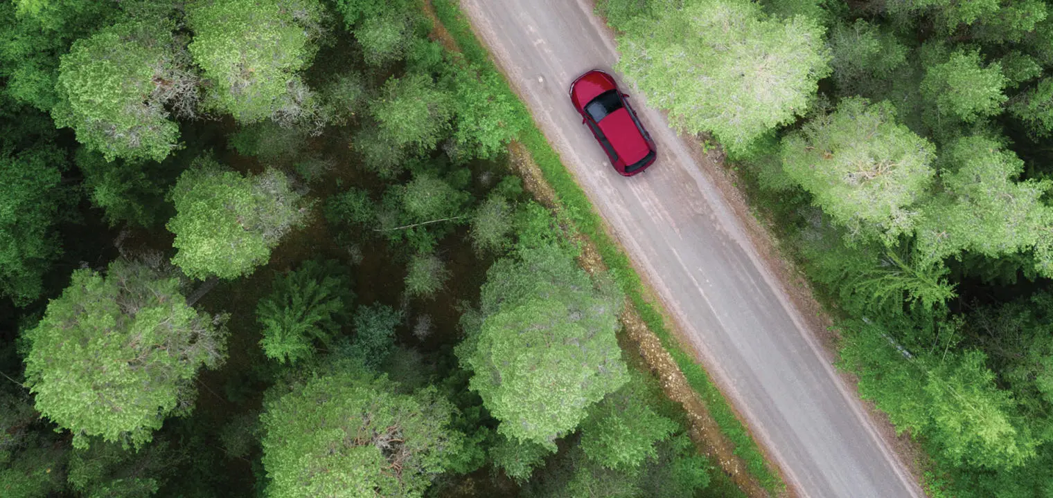 A red car on a road flanked by trees