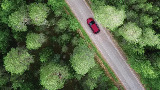 A red car on a road flanked by trees