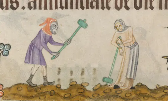 Medieval agricultural workers