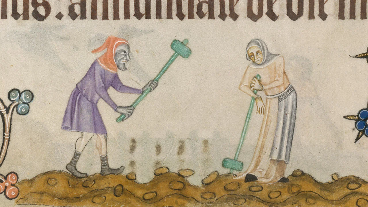 Medieval agricultural workers