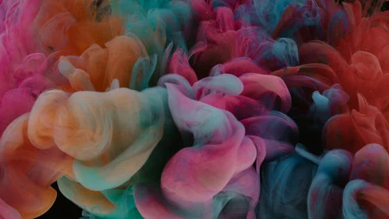 anti gender movements and resistance