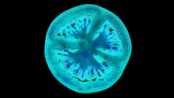 x-ray image of a tomato