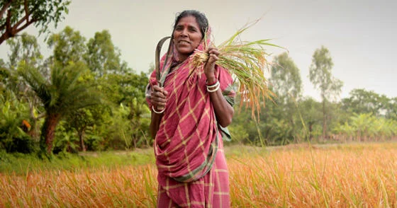 Woman working in a field