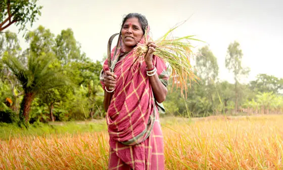 woman working in a field
