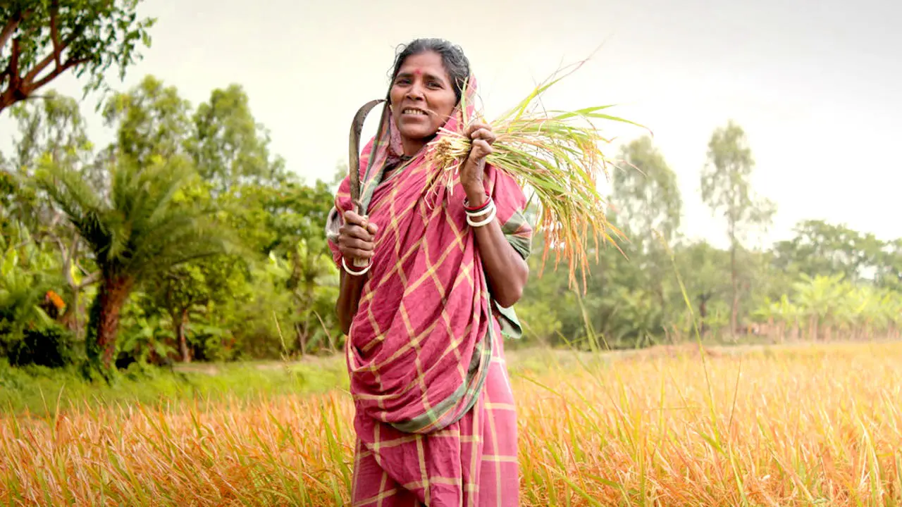 woman in field