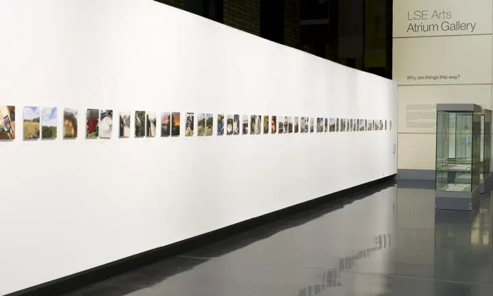 the exhibit