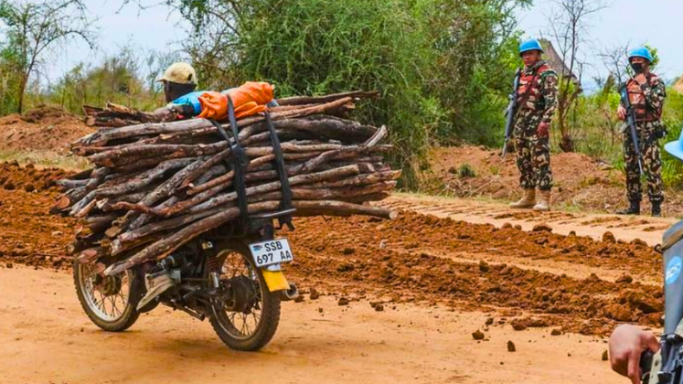  Safety of Strangers thumbnail