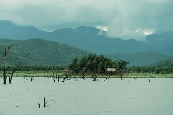 A flooded field with a view of a nearby mountain.