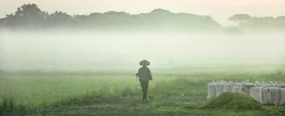 A person standing in a field in a fog.