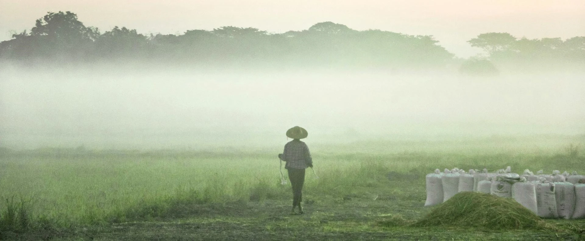 Sign Protest Rice Socialist Meaning-Making Through Rice and the 1967 Rice Riots in Burma ...