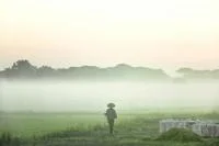 A person standing in a field in a fog.