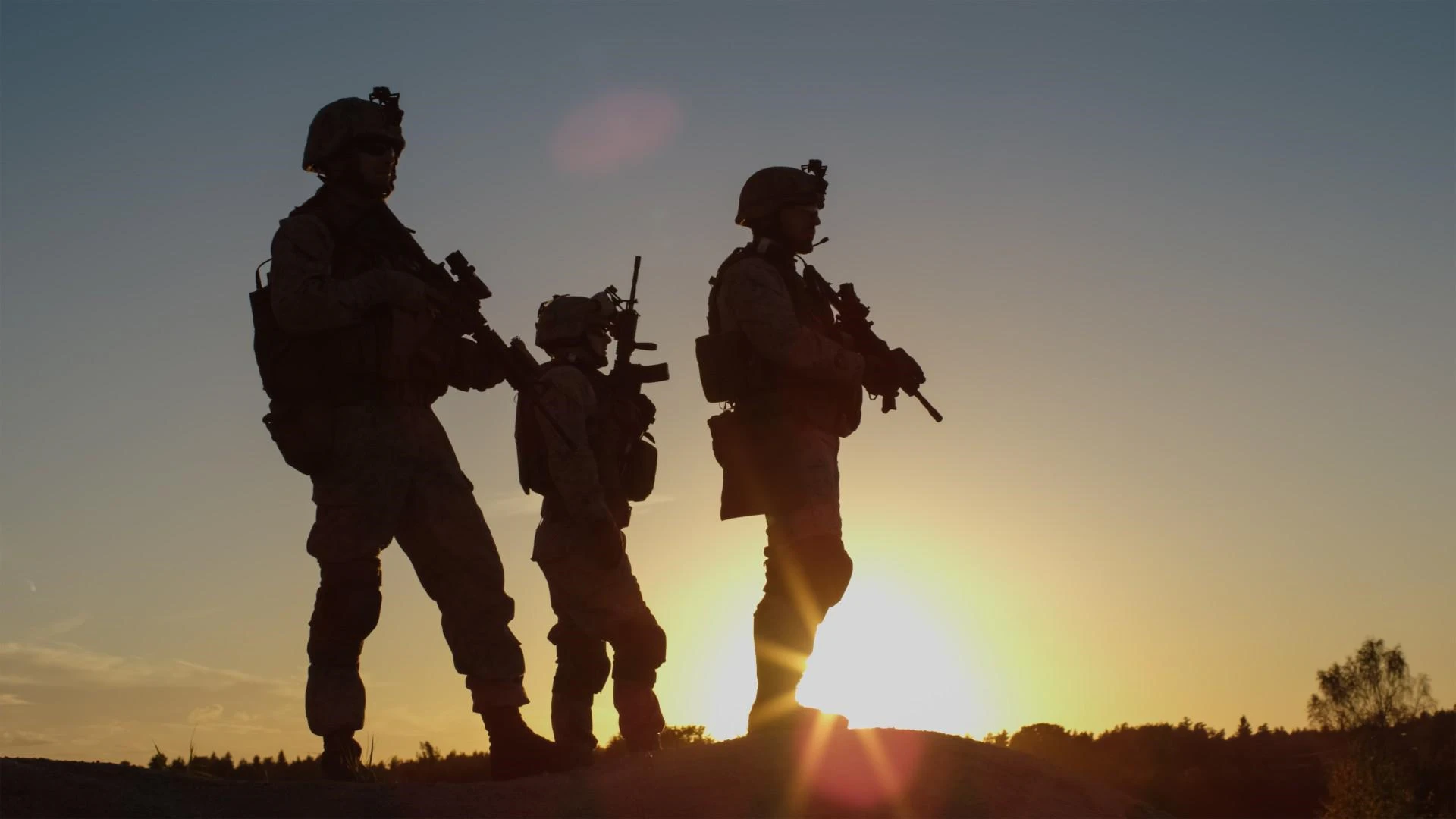 Soldierization The Militarisation of British Democracy: The Iraq and Afghanistan Wars ...