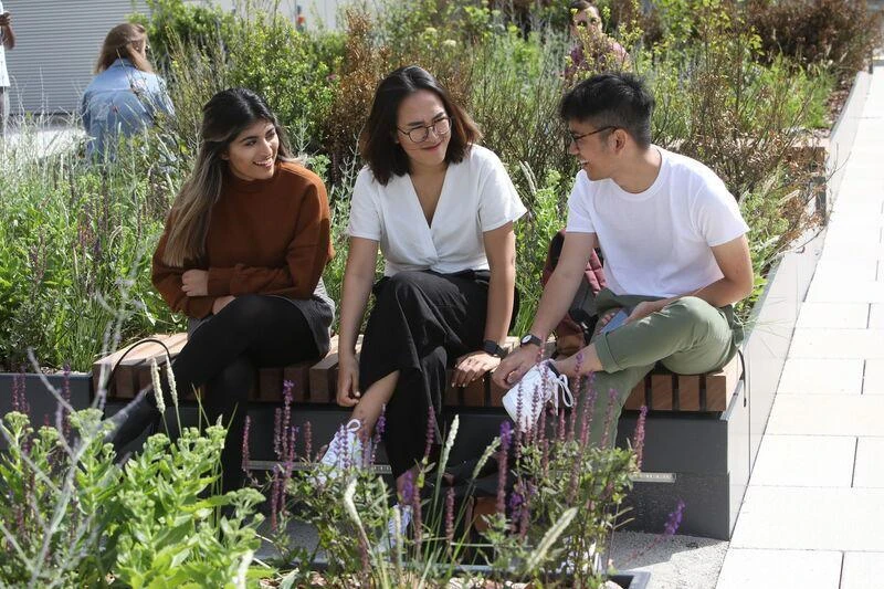 Students chatting on terrace