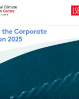 Cover of the report State of the Corporate Transition 2025