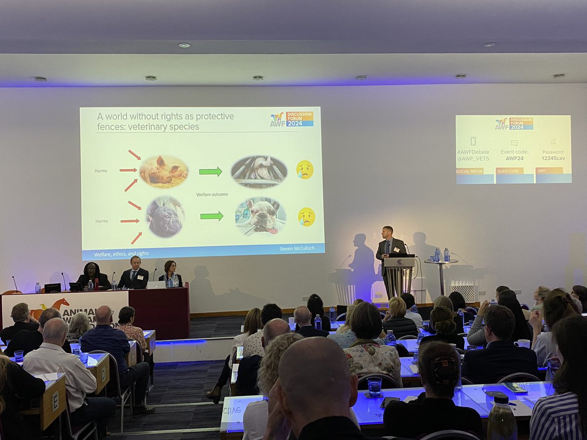 Steven McCulloch presenting at the conference.